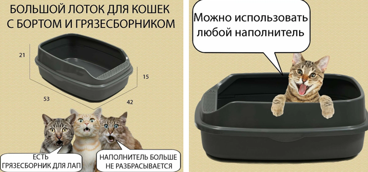 Лоток для кошек с бортом Пижон большой 53 х 42 х 21 см серый и увеличенный 64 х 44 х21 см Лоток для кошек с бортом Пижон большой 53 х 42 х 21 см серый и увеличенный 64 х 44 х21 см