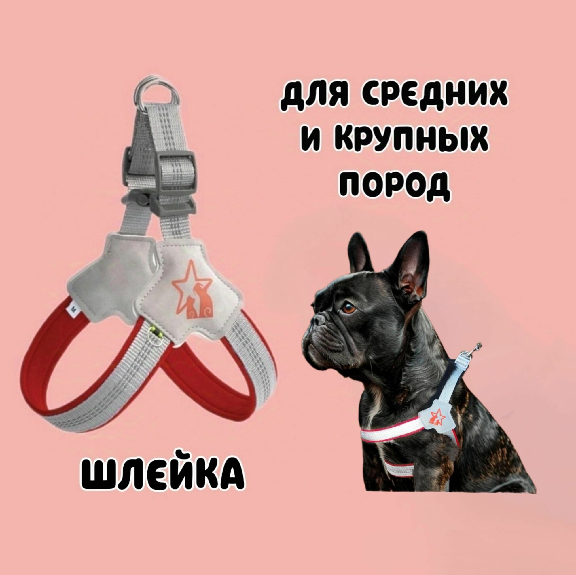Шлейка для собак средних пород анатомическая. Обхват груди 54-64см. Цвет серый. Для французского бульдога